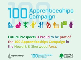 100 Apprenticeships